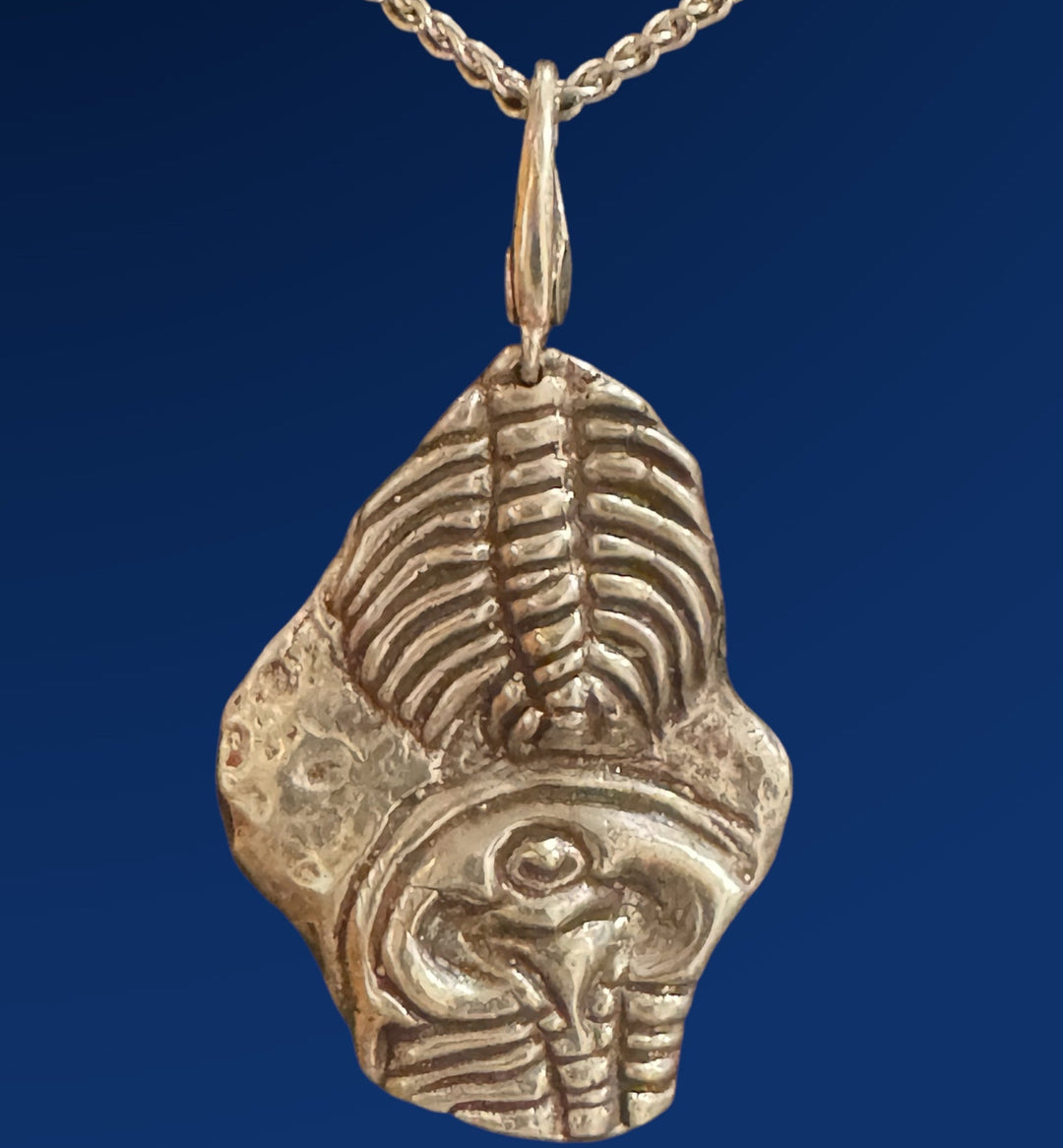 AgFossil Trilobite