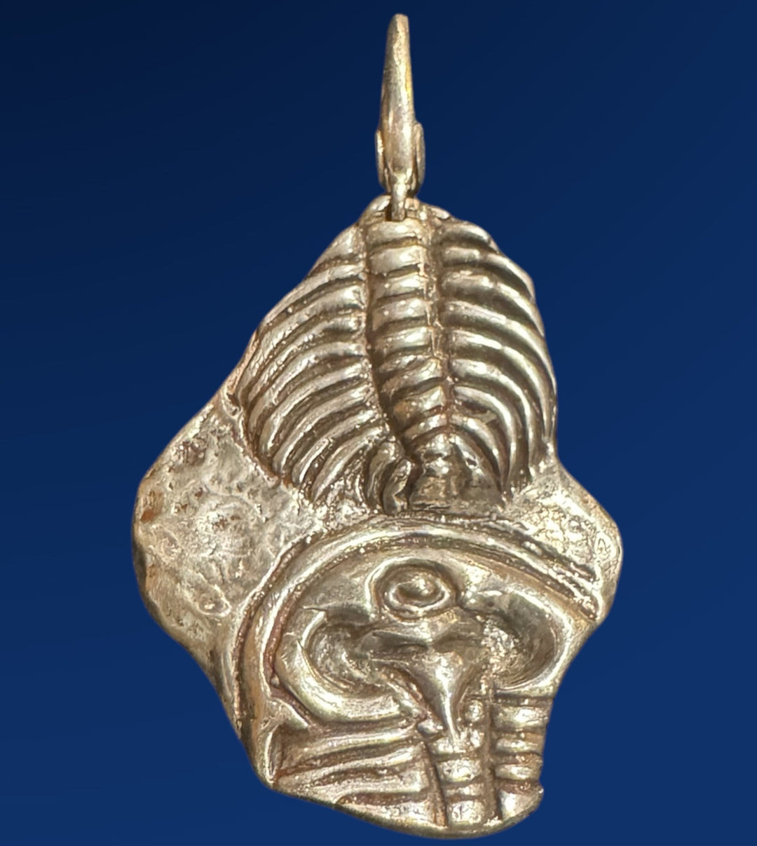 AgFossil Trilobite