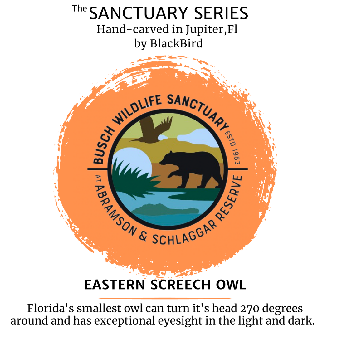 Eastern Screech Owl necklace