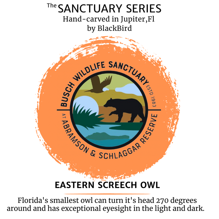 Eastern Screech Owl necklace