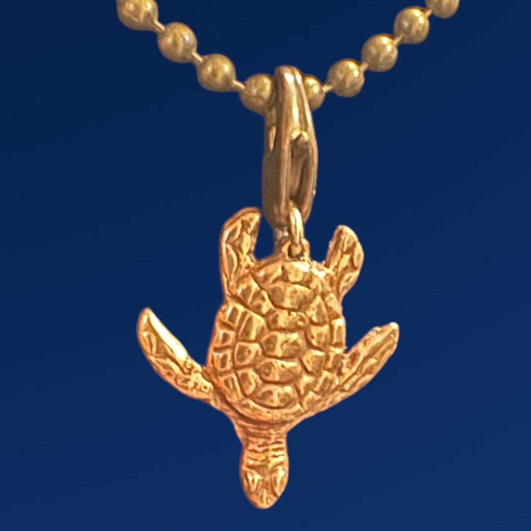 bronze turtle pendant on chain on blue background