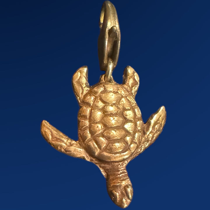 bronze turtle charm on blue background