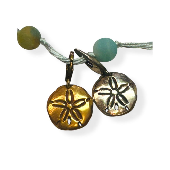 Sea Life Reflections .. Sand Dollar