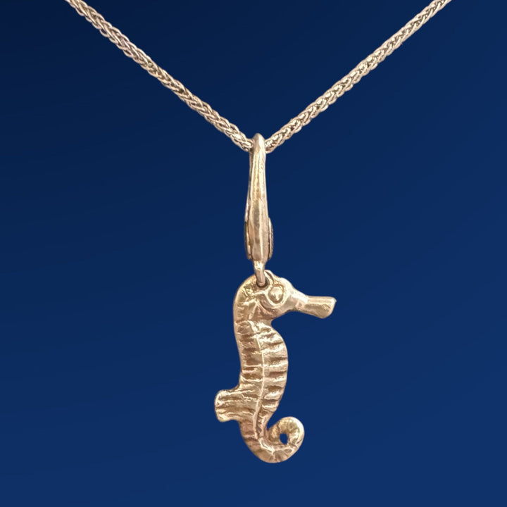 silver sea horse charm on chain and blue background