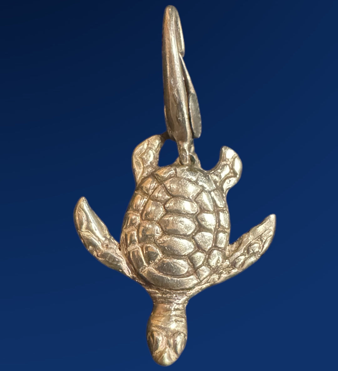 silver sea turtle charm on blue background