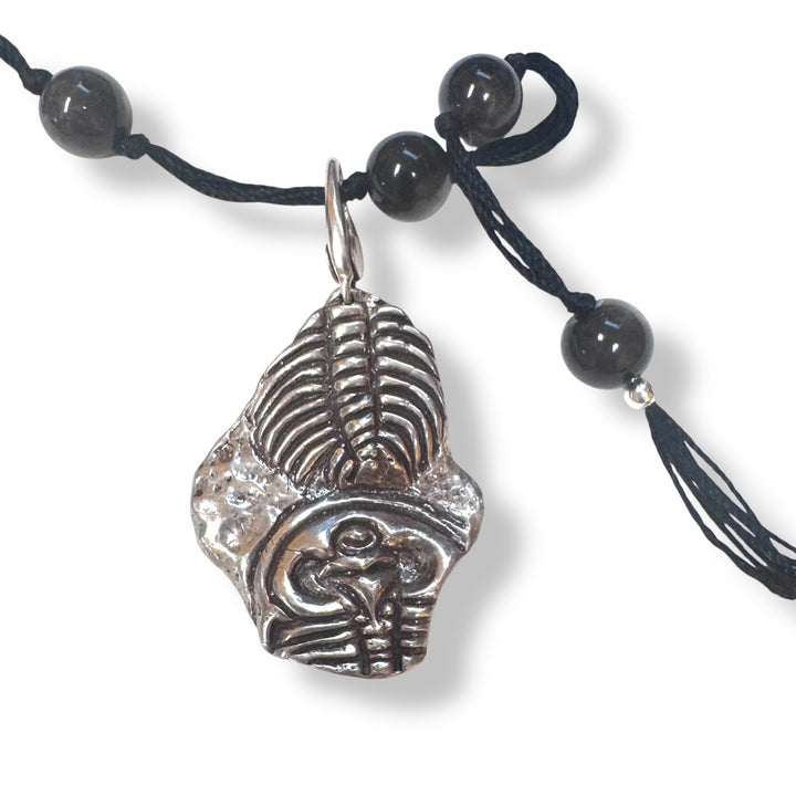 AgFossil Trilobite