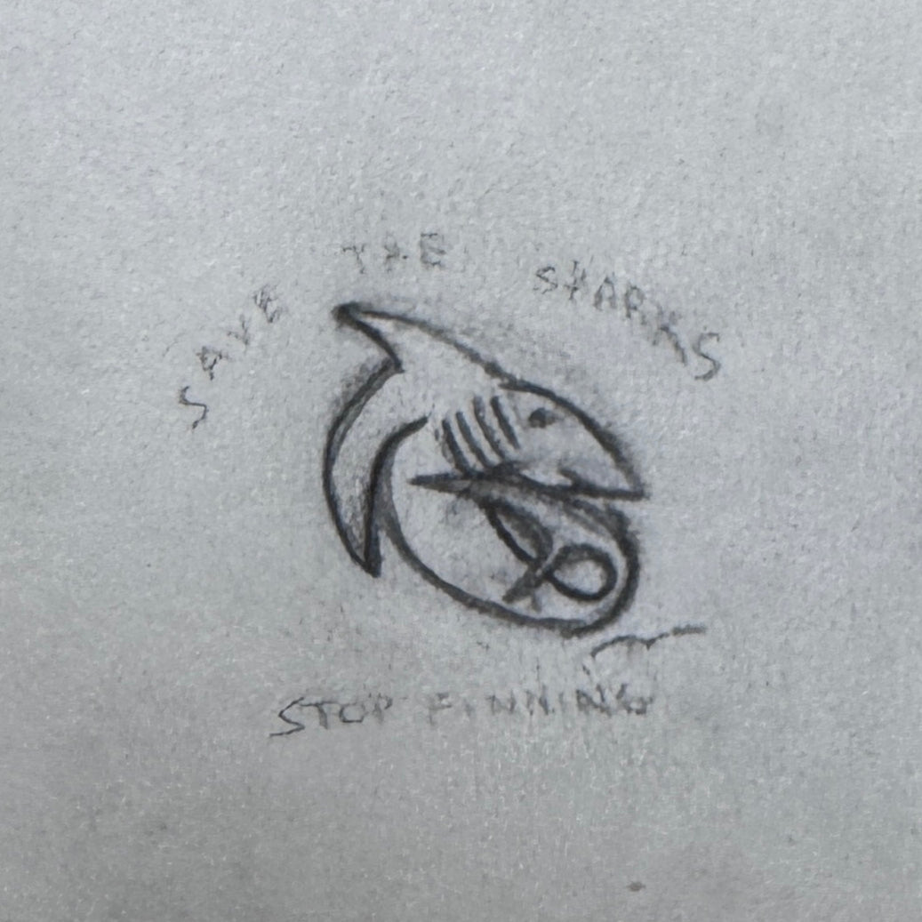 Tiny Shark
