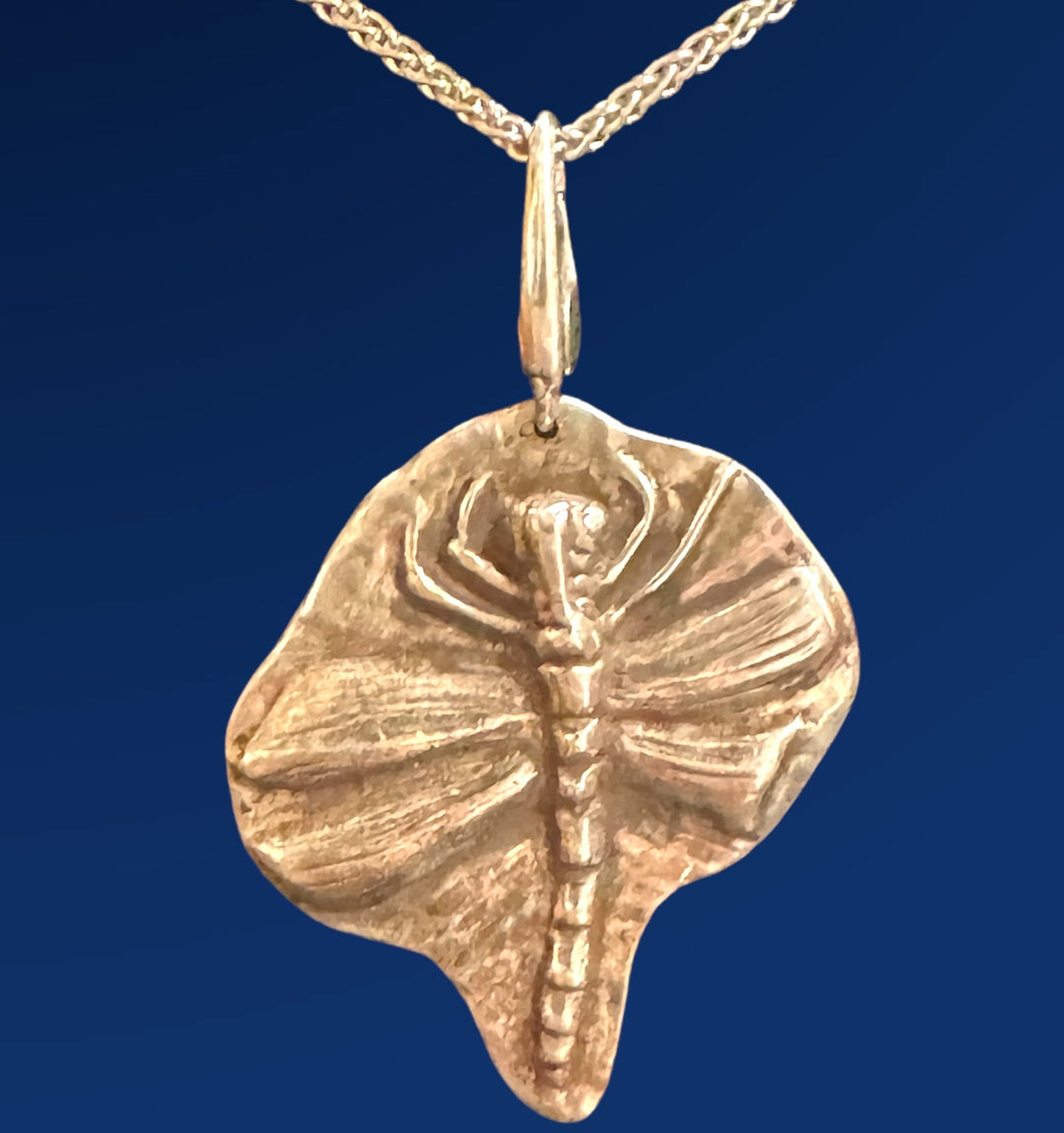 silver fossil dragonfly necklace on chain 