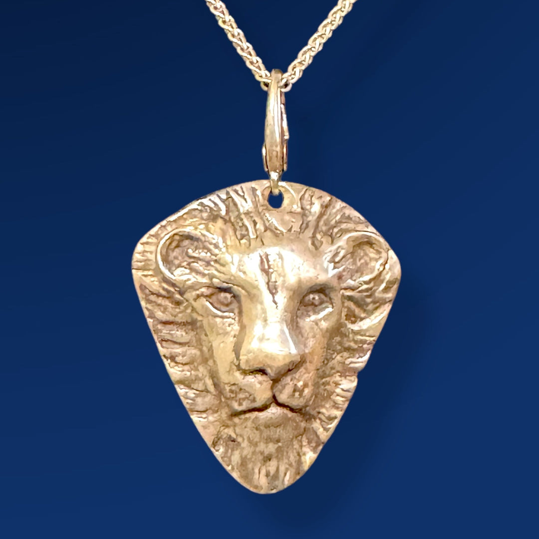 Silver lion charm on chain
